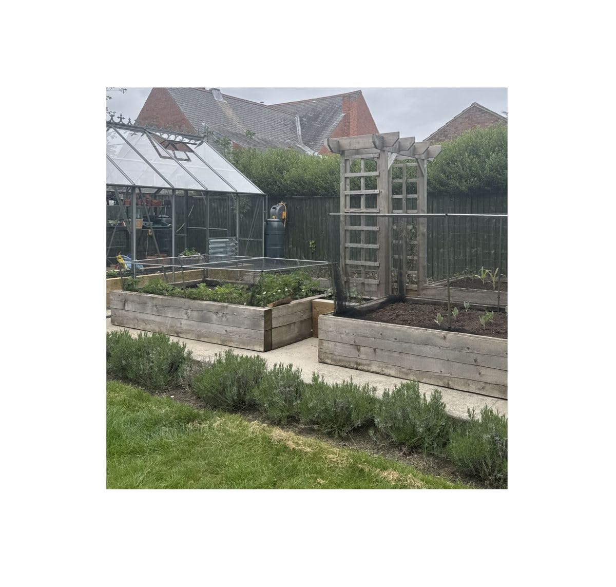 Gardening-Naturally (500mm x 1.2m x 2.4m) Bird Netting - Joiners