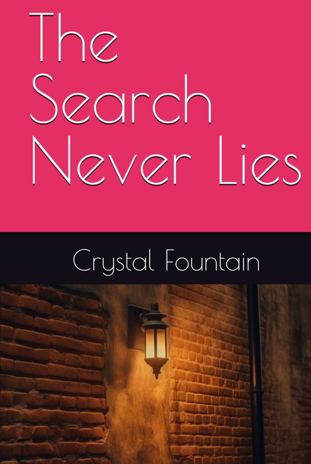 The Search Never Lies (The Buried Abstract Series)