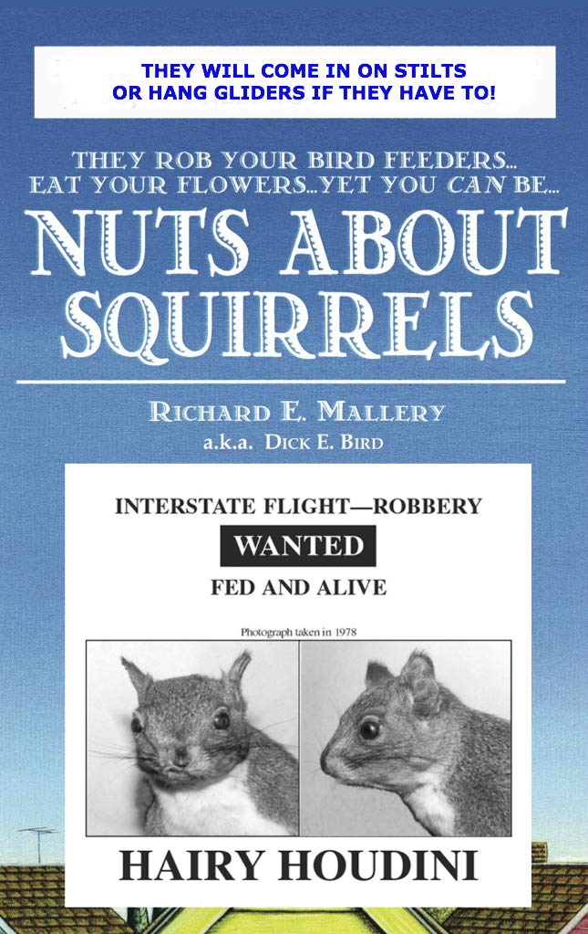 NUTS ABOUT SQUIRRELS HOW TO OUTWIT THEM eBook Mallery