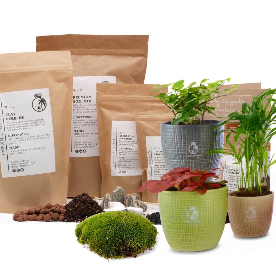 Terrarium Kit β DIY Starter Kit for Closed Terrariums (S, M, L, XL) | Optional Plants & Moss, Includes Soil, Drainage & Decorative Elements | Indoor Garden Gift (Starter Kit with 3 Plants & Moss)