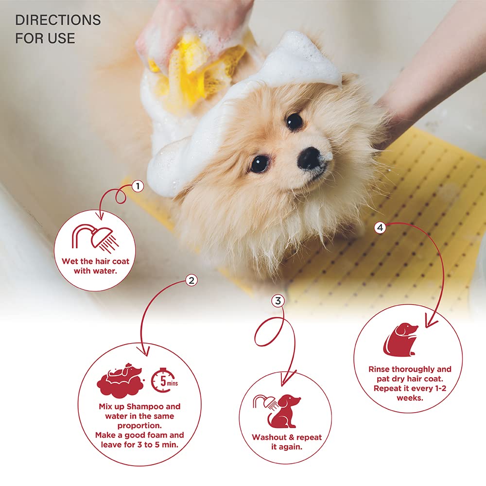 Lozalo Floral Aromatherapy Pet Conditioning Shampoo - 500ml, Rose Fragrance, Coat Cleansing, Odour Control Shampoo for Dogs & Cats, with Aloe Vera Extract and Cinnamon Oil to Promote Healthy Skin 3