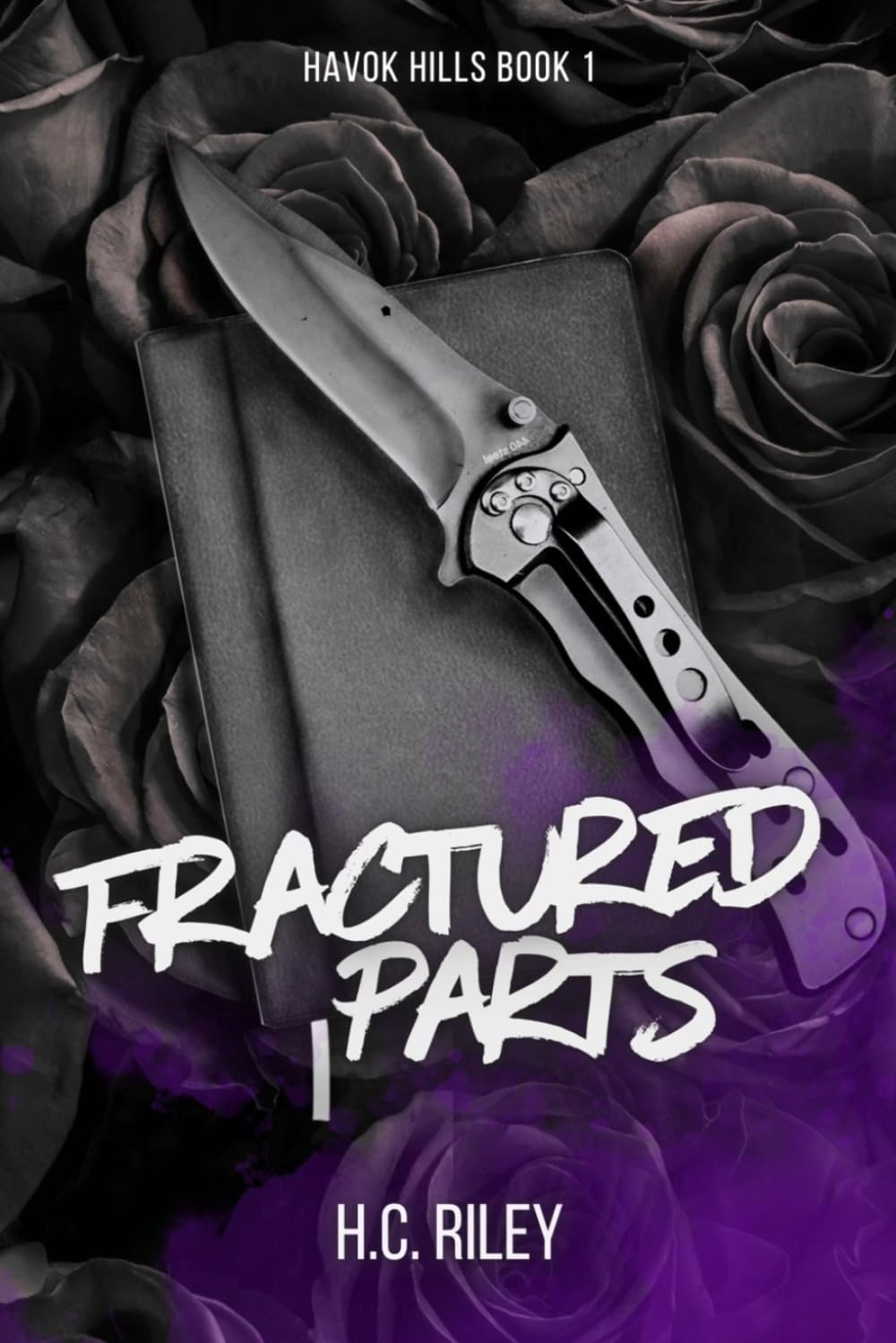 Fractured Parts (Havok Hills)