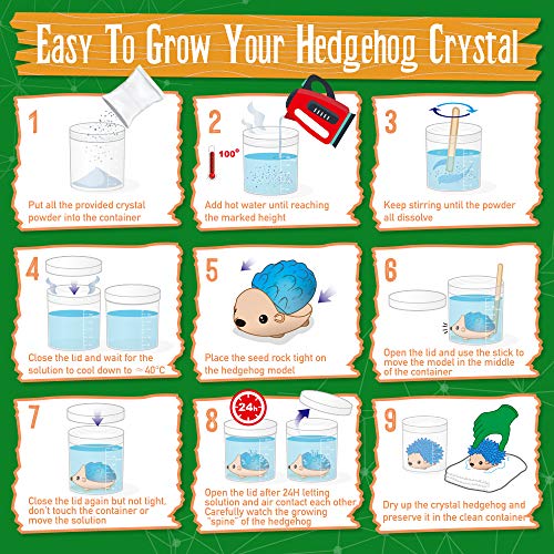 Dr. Daz Igel Kristalle Züchten - Kristall Zucht Hedgehog, 4 Stück - Experimente für Kinder ab 6 7 8 9 10 Jahre - Crystal Growing Spielzeug Geschenk Junge – Bild 6