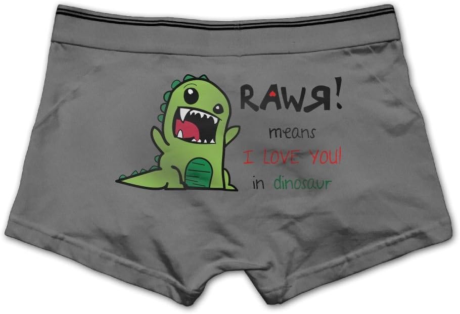 Tongbu Rawr! Means I Love You In Dinosaur Men's Underwear Modern Soft Cotton Boxer Briefs Ash