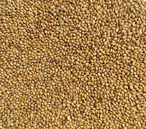 See full amazon price history chart for Wings Yellow Small Kangni Seeds for Love Birds, Budgies 10kg | 5kg (2packs) Wings Yellow Small Kangni Seeds for Love Birds, Budgies 10kg | 5kg (2packs) (B0BYXPH1F9) Amazon Price History, Amazon Price Tracker