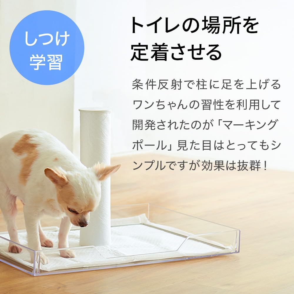 Amazon | 【OFT】 マーキングポール ホワイト オーエフティー ポール