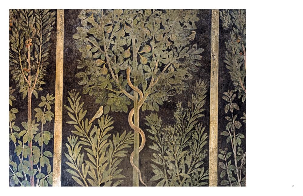 Interno pompeiano. Ediz. illustrata
