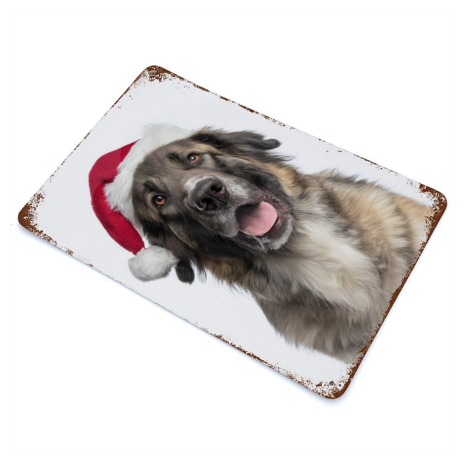 Leonberger Dog with Santa Hat Portrait Decorative Tin Sign 11.8"x7.9", for Bistro, Counter And Cafe Decor, Retro Wall Decor