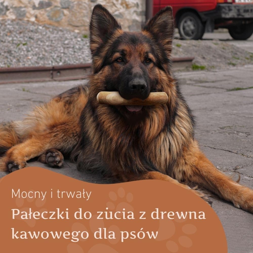 Wildfang® Gryzak z drewna kawowego XL – Wytrzymała zabawka, ząbkowanie szczeniąt, trening żuchwy, naturalny patyk dla bardzo dużych psów (powyżej 45kg), 3 sztuki.