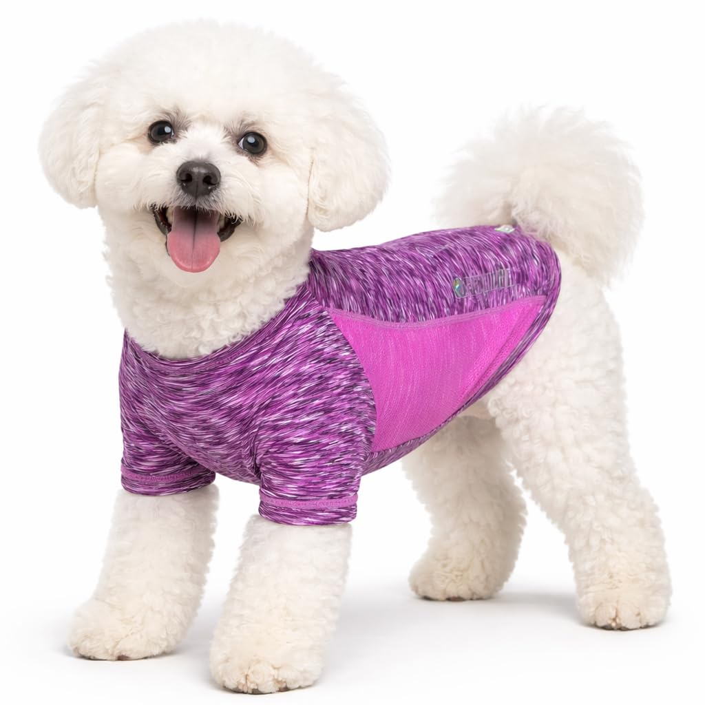 T-shirt pour chien violet extensible pour éviter les frottements M