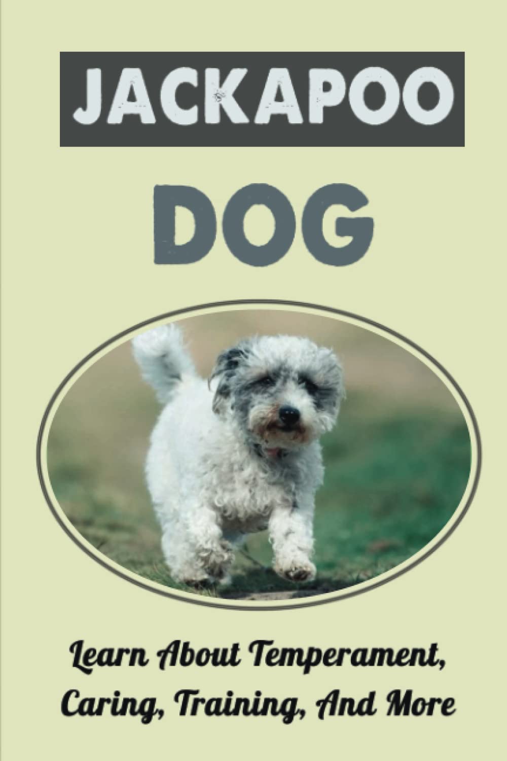 Jackapoo Dog: Learn About Temperament, Caring, Training, And More