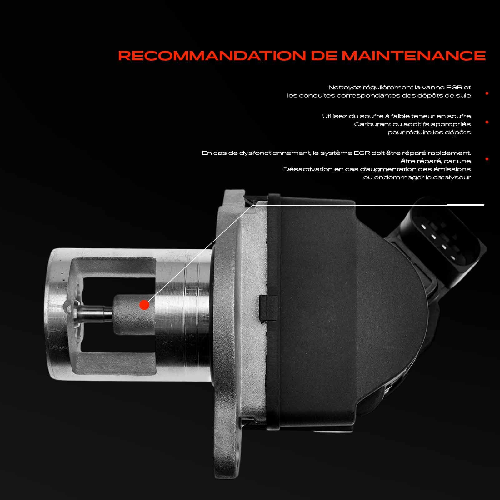 Frankberg Vanne EGR 6461400460