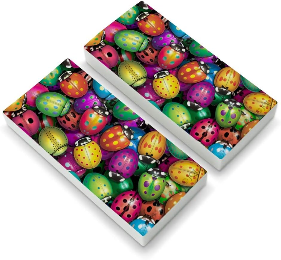 Ladybug Lady Bug Rainbow Eraser Set of 2 Office Products