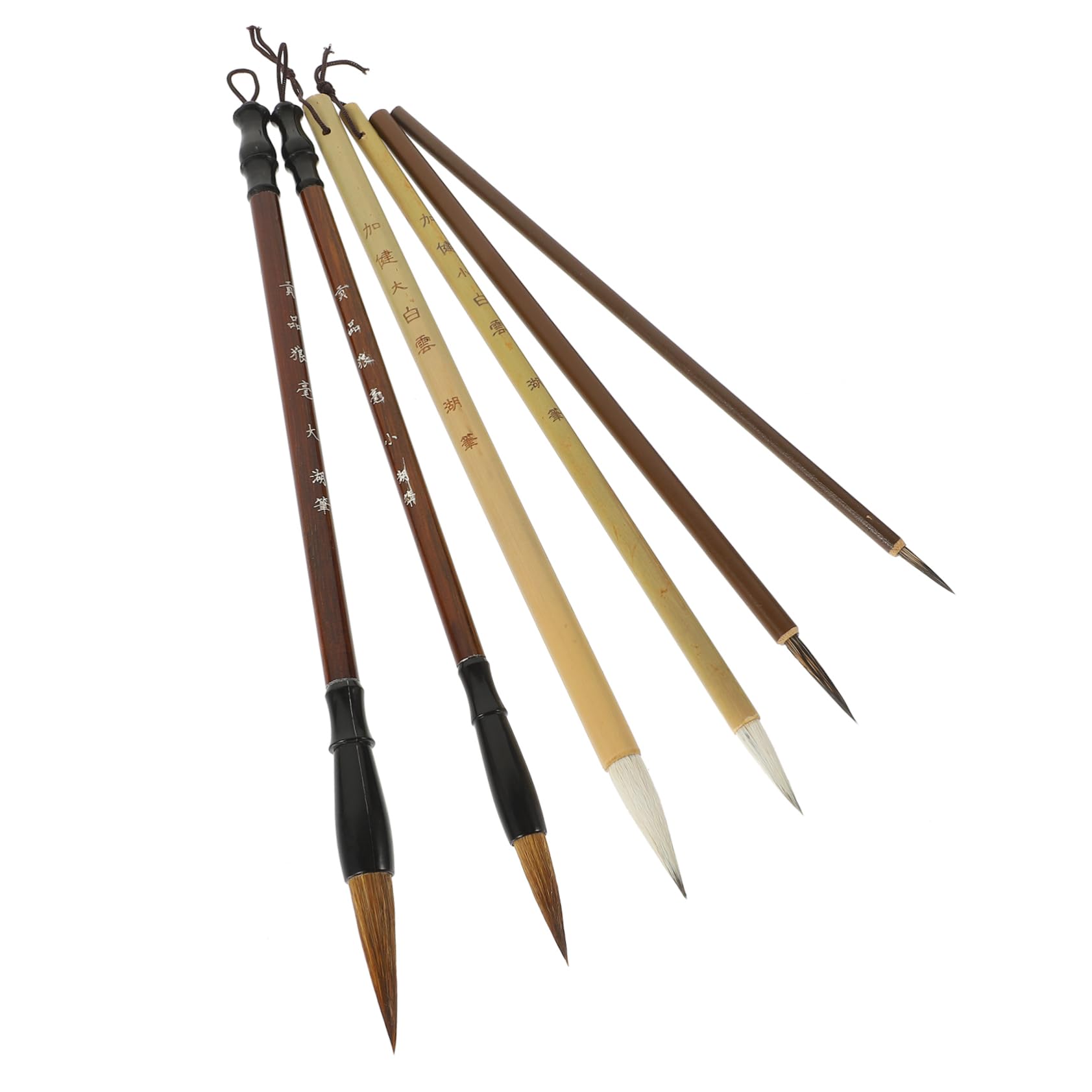 Holibanna 6Pcs Chinese Calligraphy Brush Set Fine Tips Traditional Ink Painting Brushes for Art and Calligraphy Suitable for Beginners and Professionals-image-38