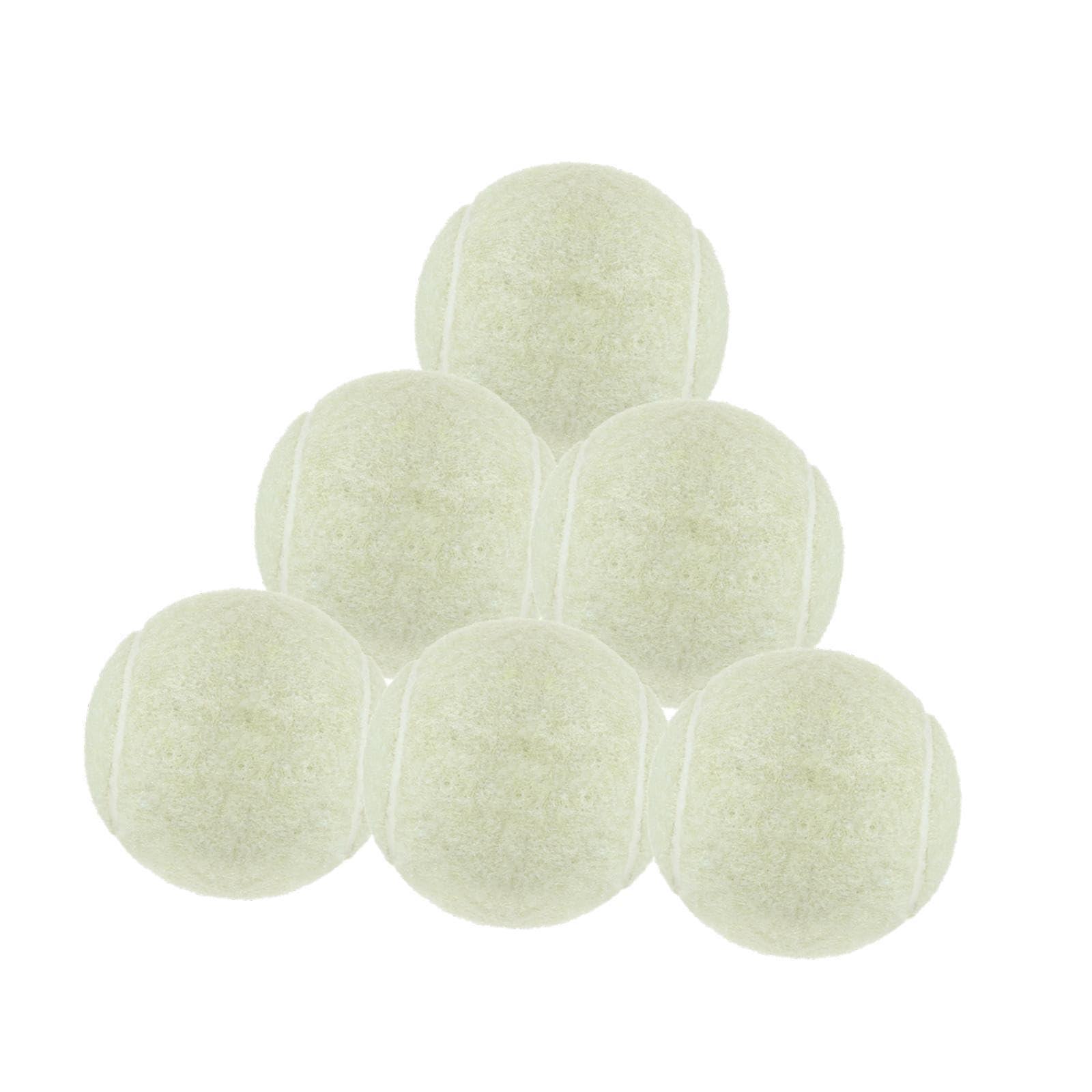 Fenteer 6Pcs Tennis Balls Training Balls Pet Dog Tennis 2.52" Diameter for Beginner Training for Games Activities Beginners, White