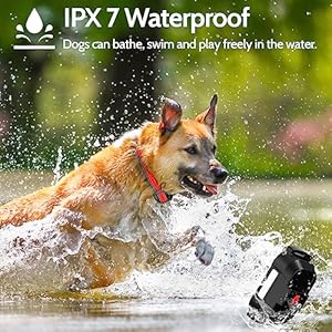 Dog Training Collar Electric Dog Shock Collar with 4 Training Modes and Waterproof Rechargeable Remote Range 3300Ft for Large Medium Small Dogs (Red)