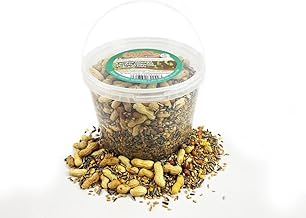 Chubby Mealworms Natural Seed & Nut Mix Forest Feast Squirrel Food (5 Litre) Natural Seed & Nut Mix Food for Chipmunks & Squirrels, Feed Includes Sunflower, Peanuts, Naked Oats, Nuts in Shell
