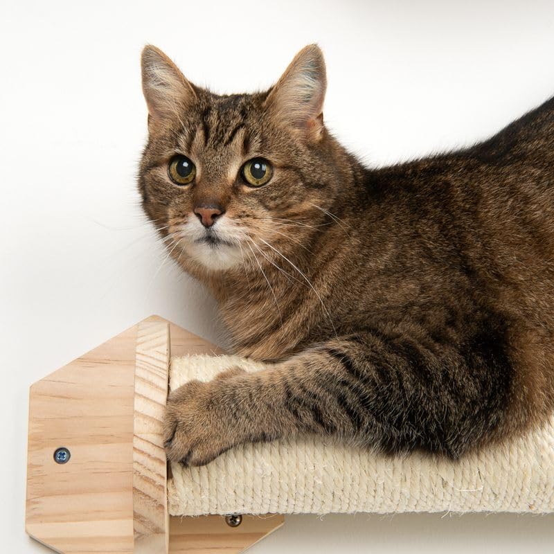 Modern Living Kratzmöbel Phoebe | Katzen Parkour zur Wandmontage | Kratzstamm | Ø8,6 x 40cm