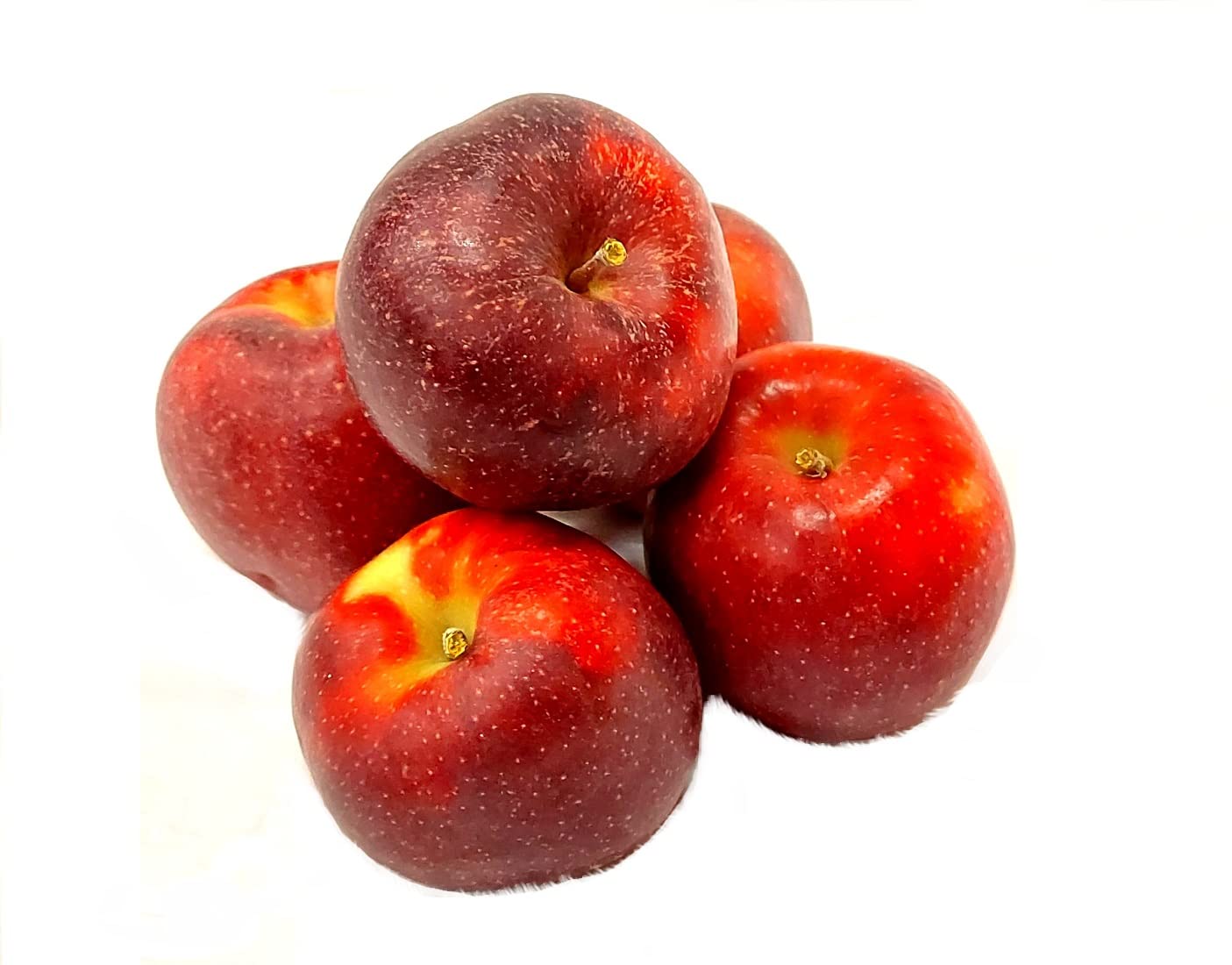 Äpfel Red Jonaprince Jonagold Price Red Prince aus Deutschland/Bodensee saftig süß-säuerlicher Tafelapfel 8 KG