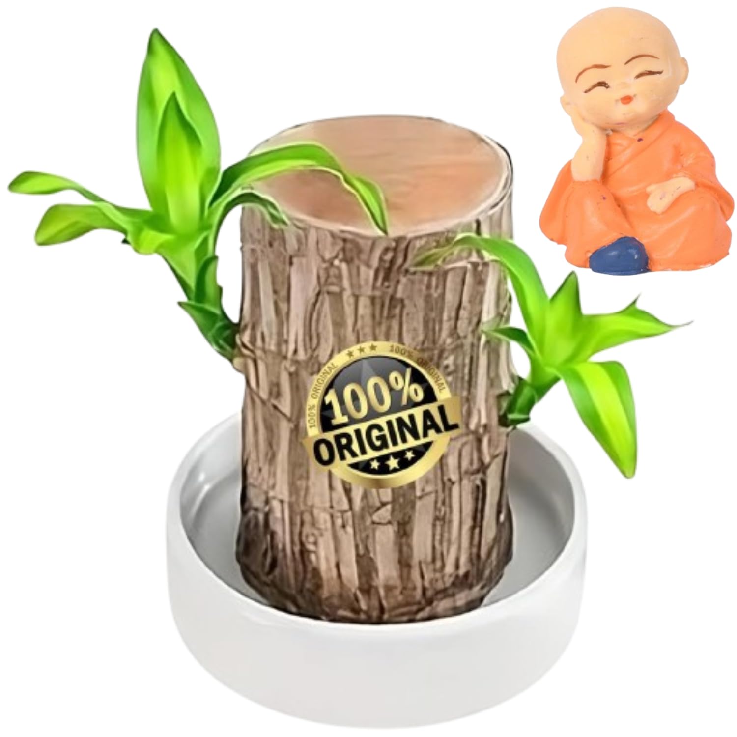 Lucky Wood Bamboo Plant Good Luck Live Plant Lucky Brazil Wood Potted Plant With Buddha Monk (Set Of 1) | Healthy Indoor Live Lucky Brazilian Wood Plant for Living Room (Style_342 (B0DHLGPZJS) Amazon Price History, Amazon Price Tracker