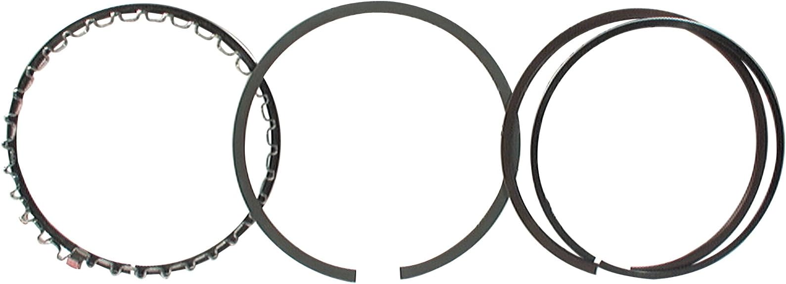 Total Seal ASA4005 4.005" Bore Piston Ring Set