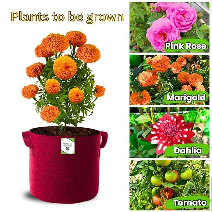 Image of OON Geo Grow Bag for Terrace and Flowers Vegetable Gardening, Premium Geo Fabric 450 GSM Plant Bags, Maroon Color, Eco Friendly Geo Fabric (3, Maroon, 6X6 INCH)