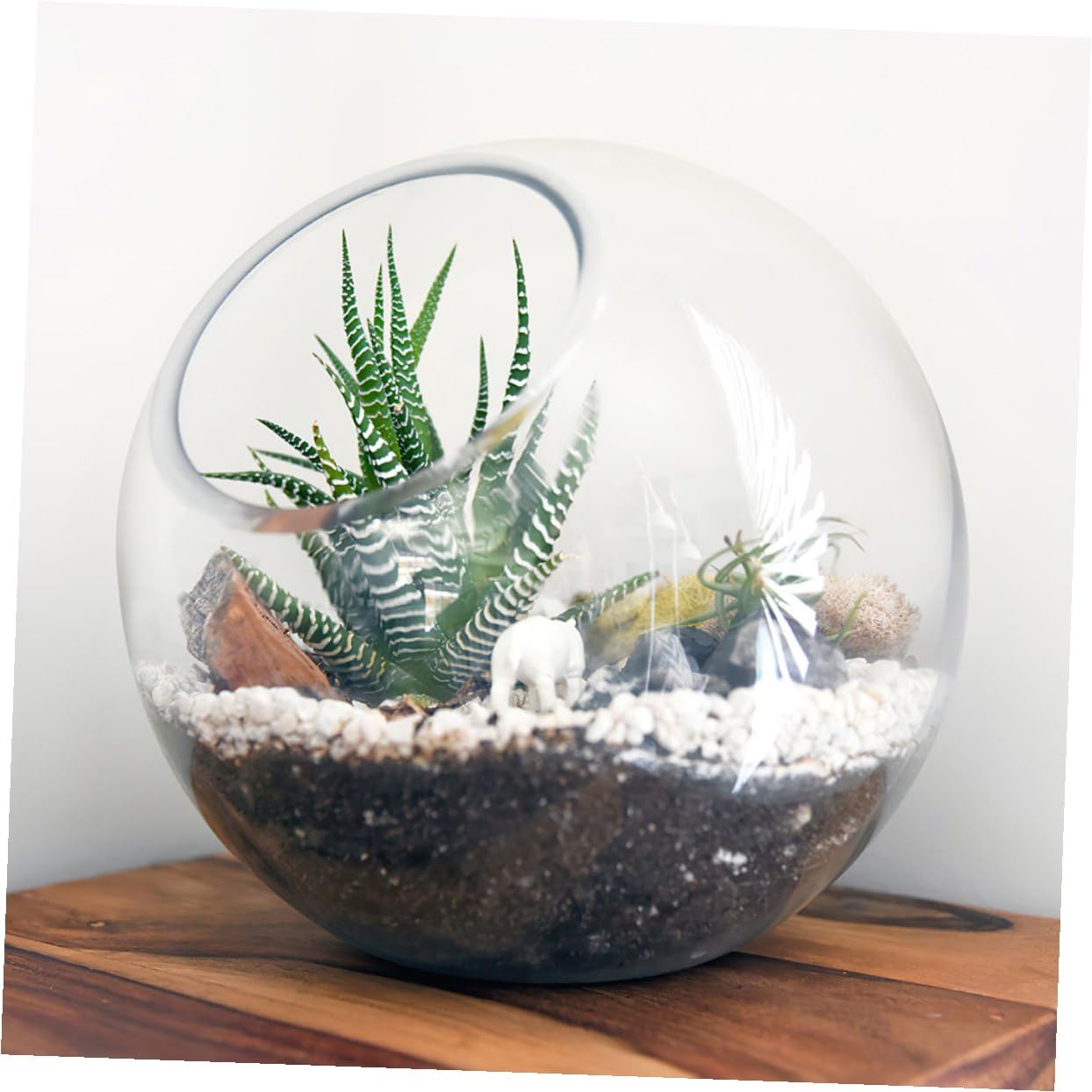 Contenitore Terrario in Vetro 3 Pezzi da 10-135 CM per Micro Paesaggi Bottiglia Ecologica Fai da Te per Piante Succulente da Tavolo e Decorazione Naturale Interna