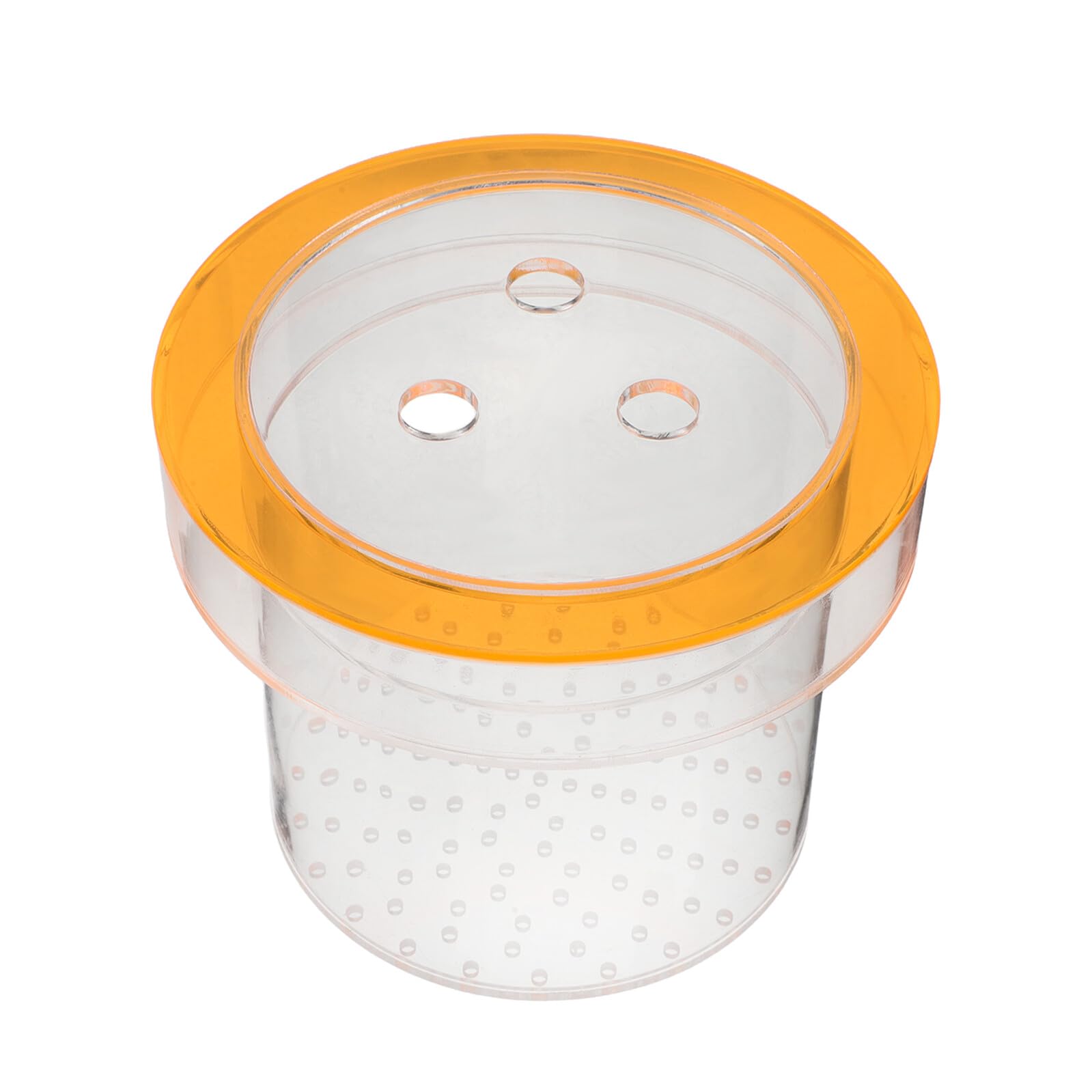 Accessoire pour reproduction de guppy en aquarium communautaire calme