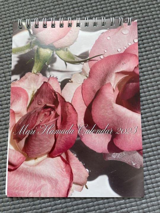 Amazon.co.jp: 浜田麻里 グッズ 2023年 カレンダー : おもちゃ