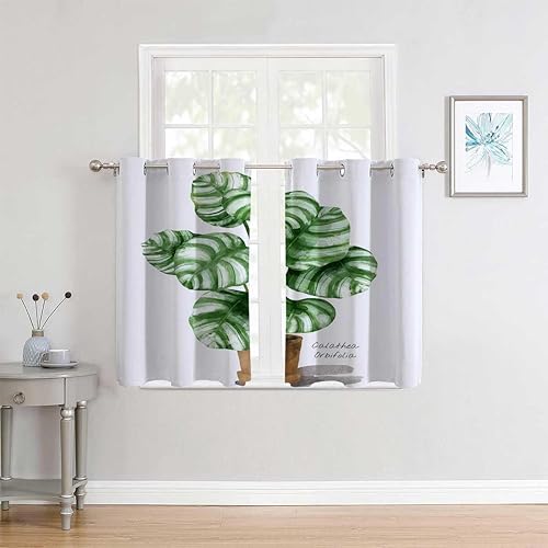 Cortinas para cocina - Cortina corta con ojales en maceta para armario sin puerta, cortinas bohemias de 55 pulgadas de ancho por 72 pulgadas de