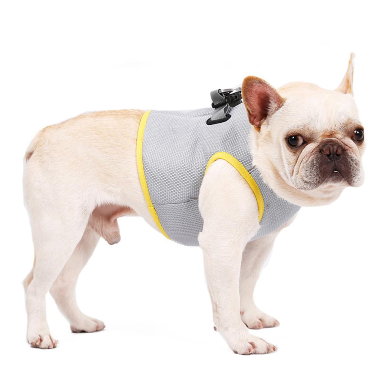 COLLBATH Gilet Refroidissant pour Chien Respirant Et Confortable pour XL Parfait pour Promenade Et Activités Extérieures