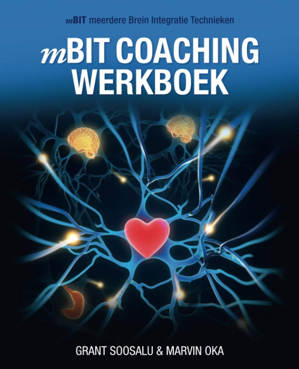 mBIT Coaching Werkboek