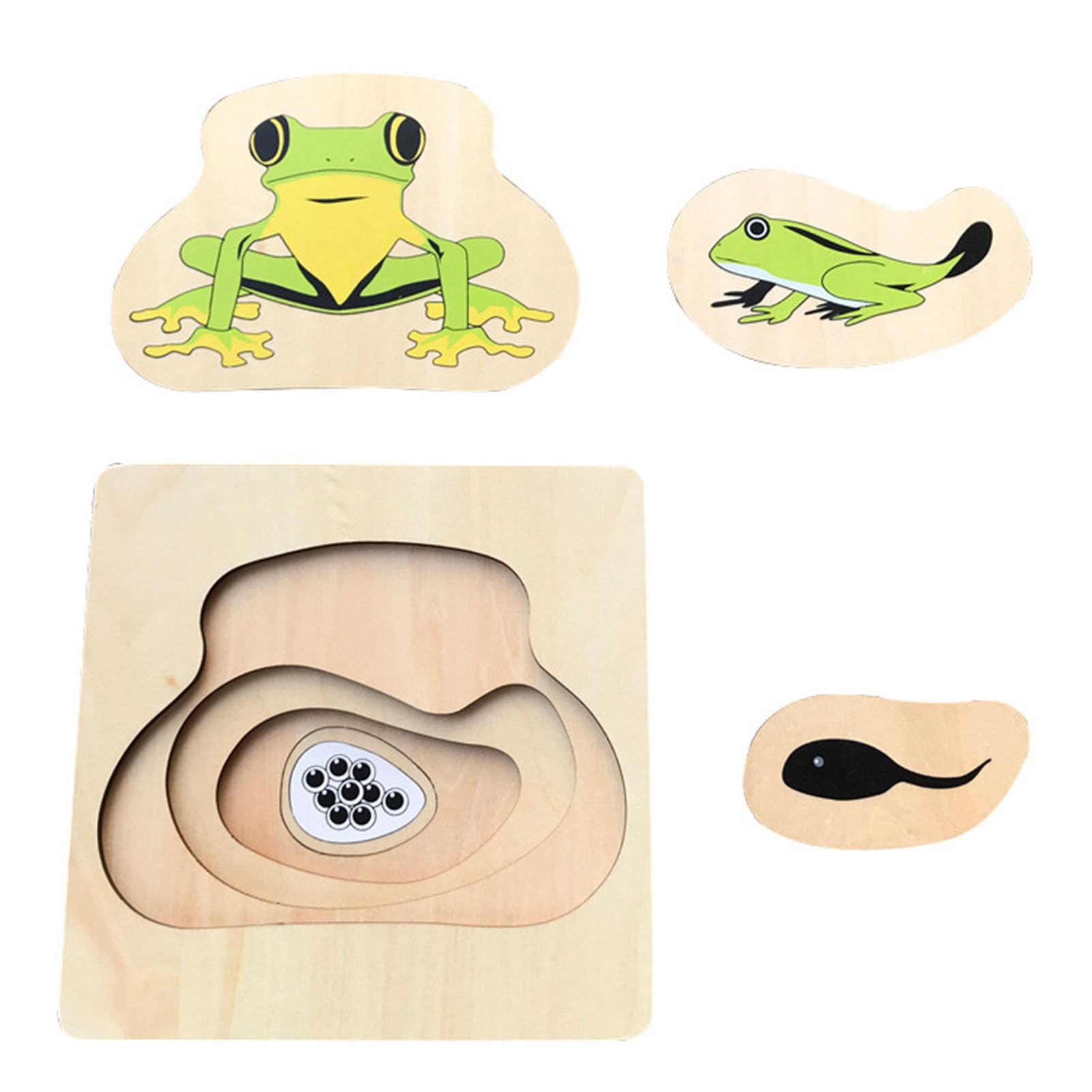 LLTCMYGS Montessori Wooden Jigsaw Puzzles, Animal & Life Cycle Learning Toys for Toddlers,frog