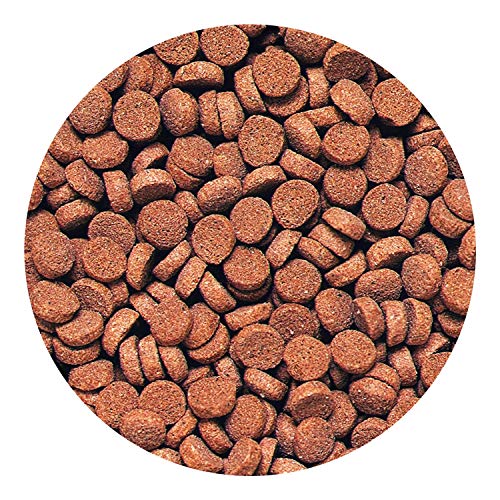 Hikari Sinking Carnivore Pellets For Pets, 2.61-Ounce #TOP2