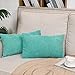 TAN.TOMI Kord - Set di 2 federe per cuscini decorativi, cuscini da divano, in diversi colori (turchese, 40 x 60 cm)