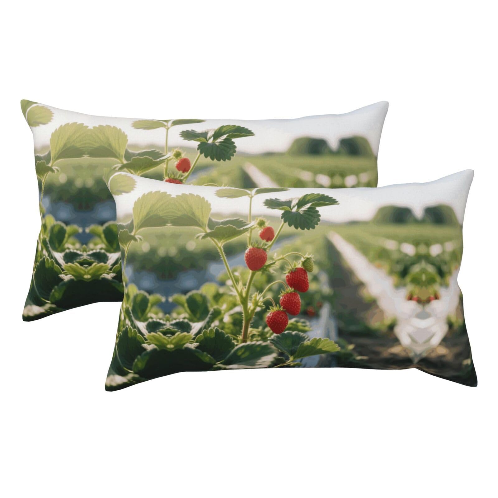 Strawberry Luxury King Pillowcases Set of 2, Plush Velvet Feel Pillow Covers with Hidden Zipper, Skin & Hair Friendly, 20x36 Inches Pillow Cases for Sleeping Gift
