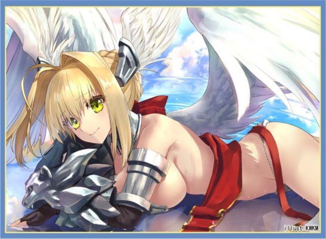 Amazon.co.jp: FGO Fate ネロ セイバーヴィーナス コミケ同人スリーブ
