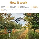 vonivi B08H1S6B68 lato 3