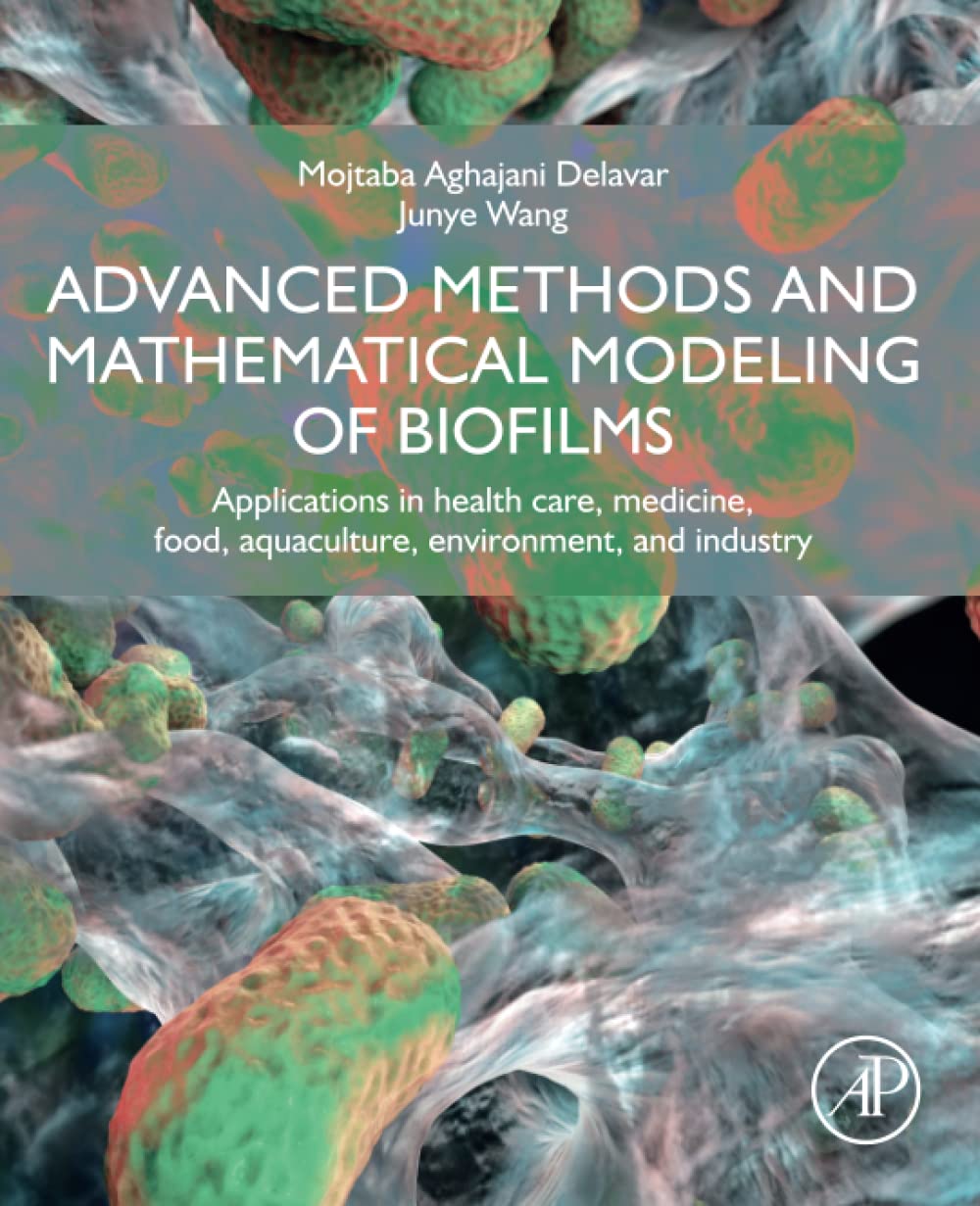 Advanced Methods and Mathematical Modeling of Biofilms: Applications in ...