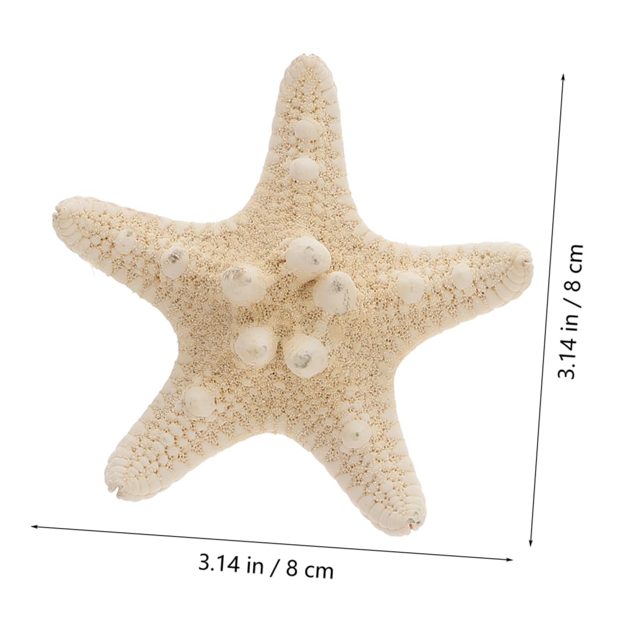 BESPORTBLE Unique Artistic Conch Shell Decor Large Sea Shells for Crafts Beach Themed Ocean Decorations