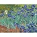 CafePress Van Gogh Blue Iris Garden Painting Large Zipper Toiletry Pouch, 12.5