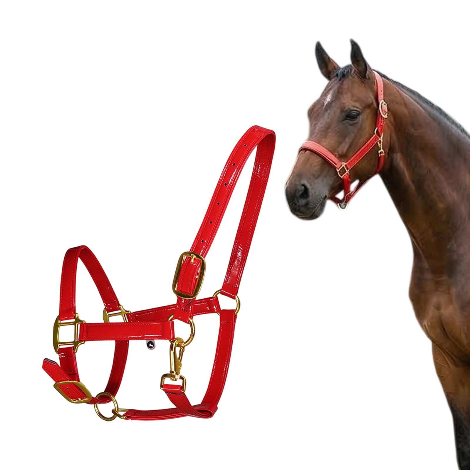 Caballo de cuero elegante de alta calidad con hebillas de aleación, impermeable y resistente al olor, para ecuestres, deportes, ecuestres, caballo, cabeza