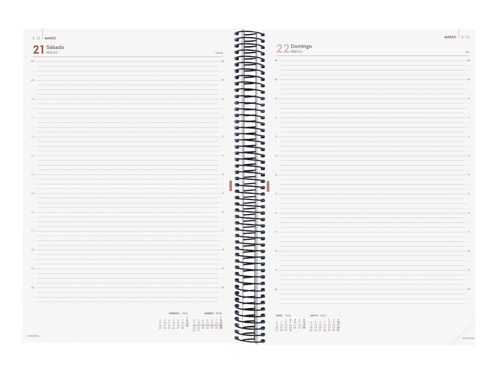 Finocam - Agenda Espiral 2026 1 Día Página | Enero - Diciembre (12 meses) | Agenda A4 Anual 2026 con goma | Tapa de polipropileno Espiral Opaque - Azul - Español