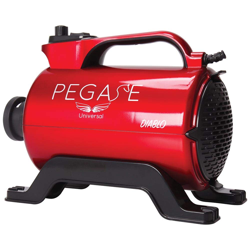 Phoenix Séchoir Rouge Diablo pour Chien 2800 W