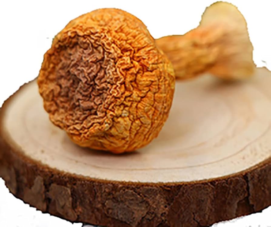 Braziliya karnavalidagi mushuk Braziliya karnavalidagi mushuk