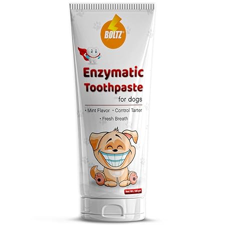 Boltz Enzymatic Toothpaste for Dogs 100gm with Mint Flavor
