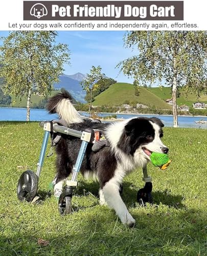 Silla de ruedas para perros pequeños: carrito de aluminio ajustable para discapacidad 2