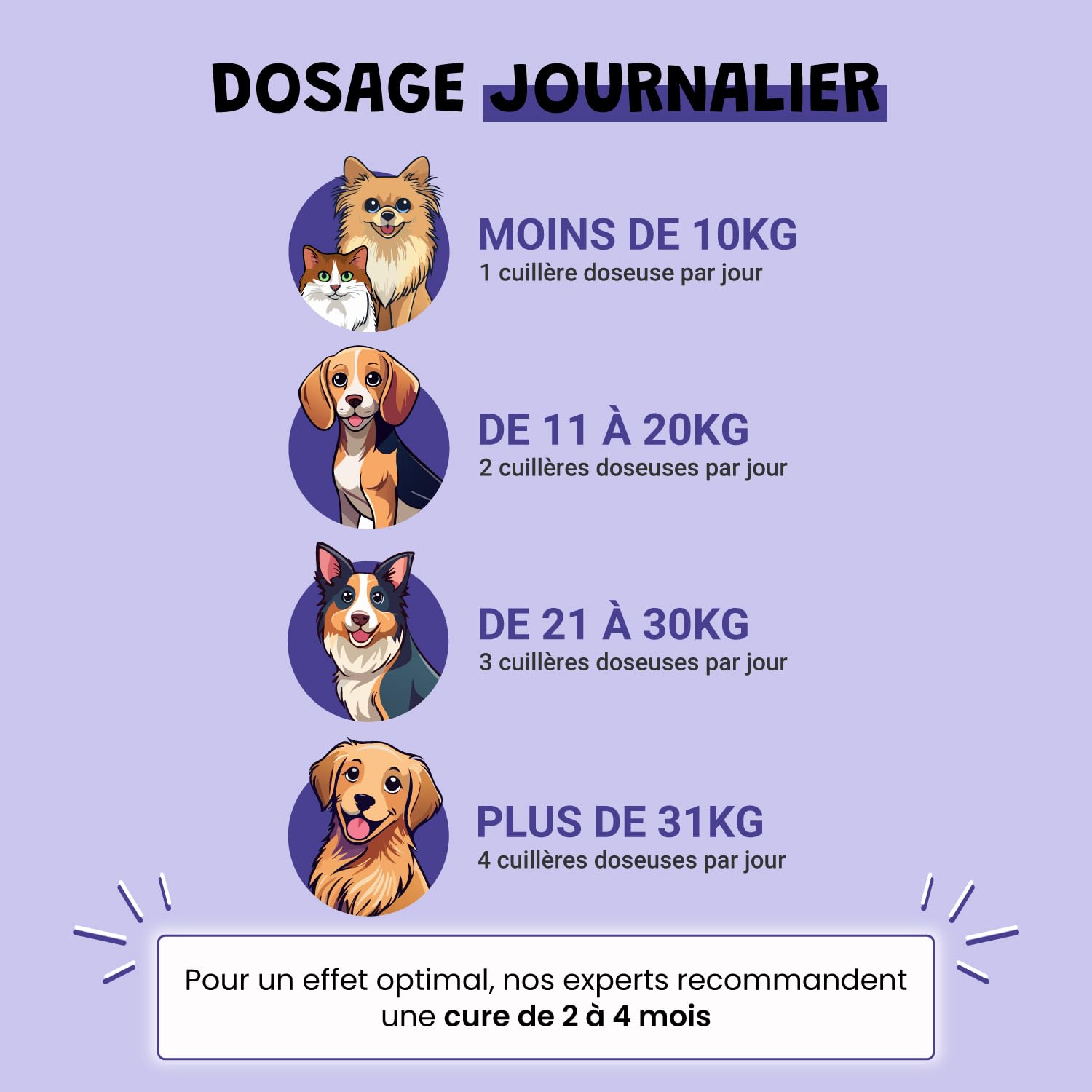 Vision 100g – Complément oculaire Naturel pour Chien et Chat | Myrtille, Ginkgo, Souci | Antioxydants & Microcirculation | Soutien du Confort visuel | Appétent au Foie de Poulet