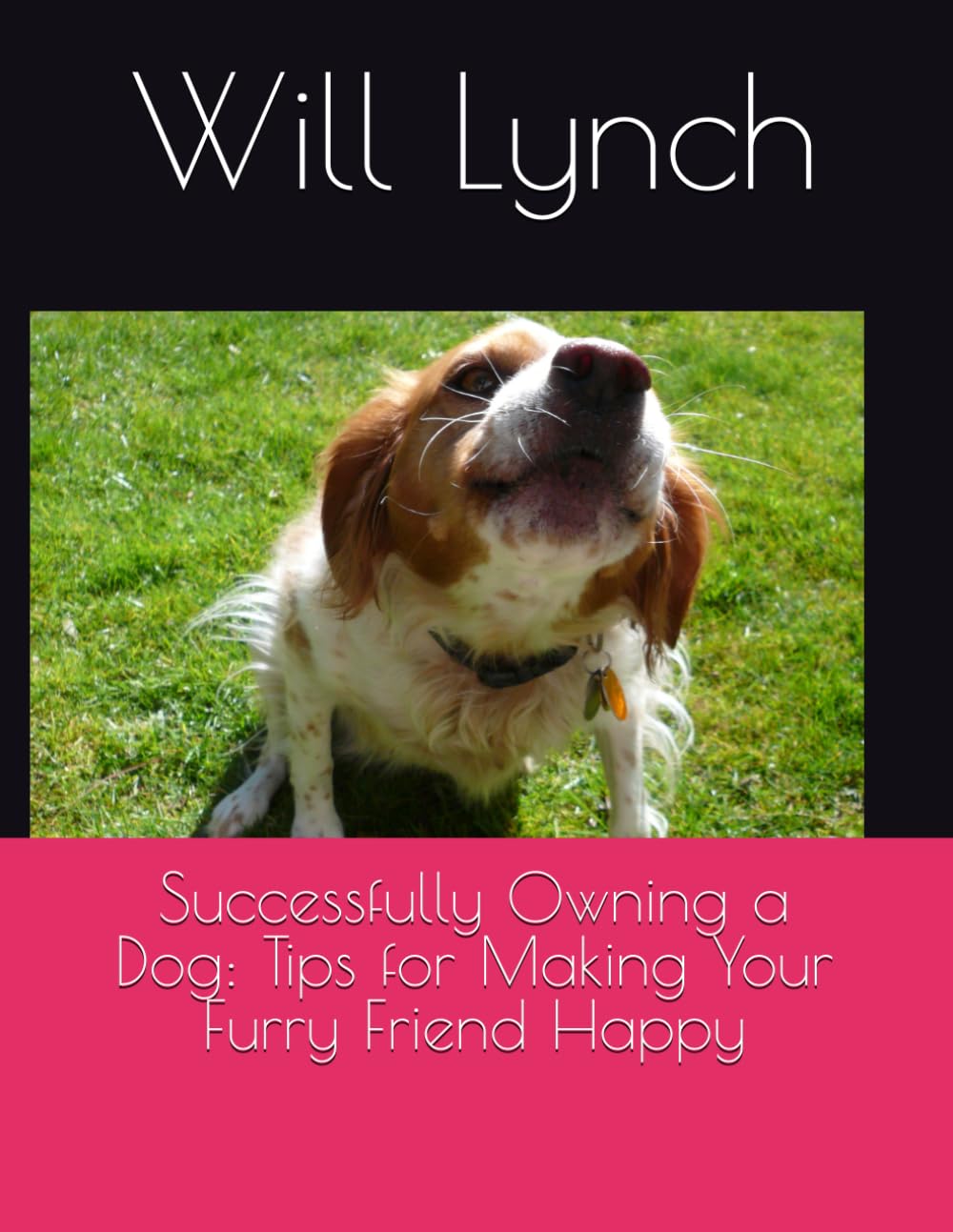 Successfully Owning a Dog: Tips for Making Your Furry Friend Happy