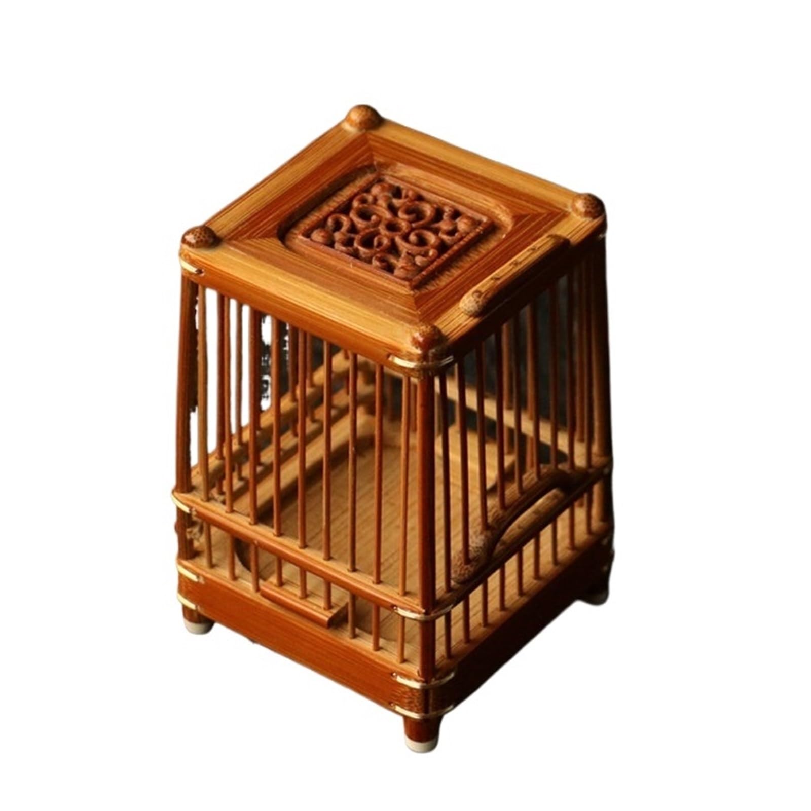 Cage à grillons pour reptiles et petites cages sauterelles en bois